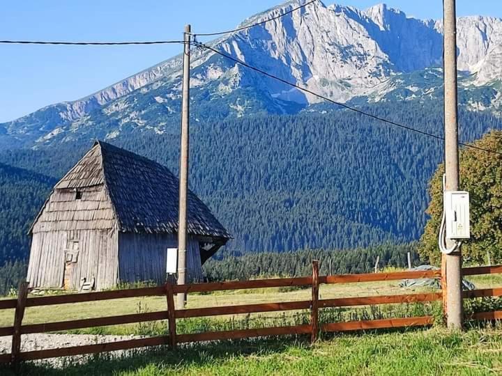 Durmitor Apartman Pitomine Žabljak Esterno foto