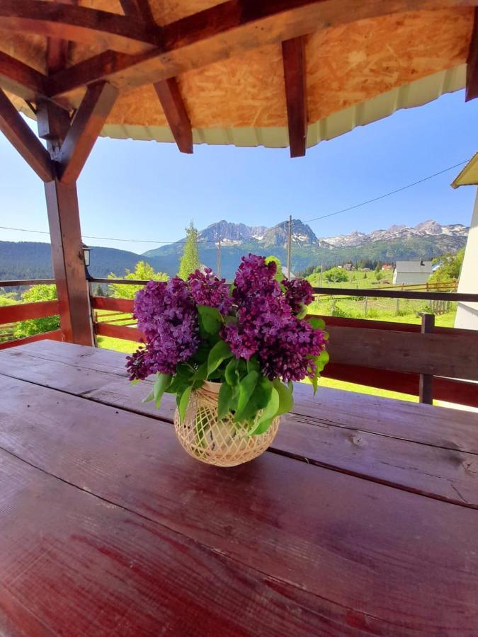 Durmitor Apartman Pitomine Žabljak Esterno foto